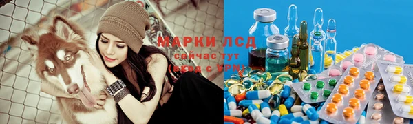 дживик Магас