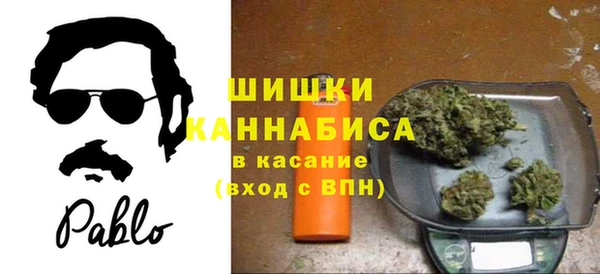 дживик Магас