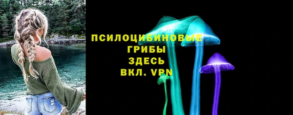 дживик Магас