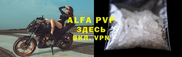молекула духа Магадан