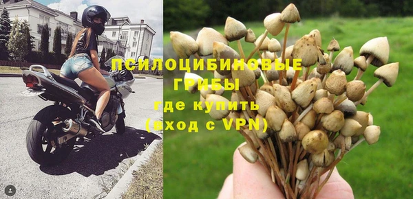 мдпв Майский