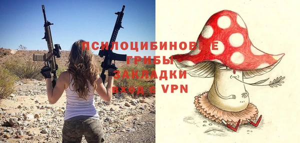 молекула духа Магадан