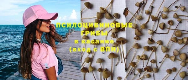 мдпв Майский