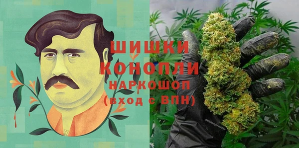 молекула духа Магадан