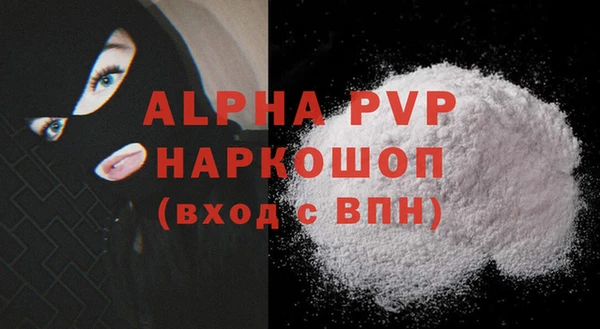 молекула духа Магадан