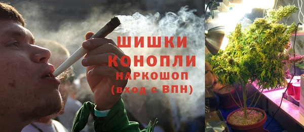 молекула духа Магадан