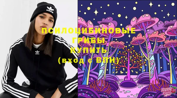 молекула духа Магадан
