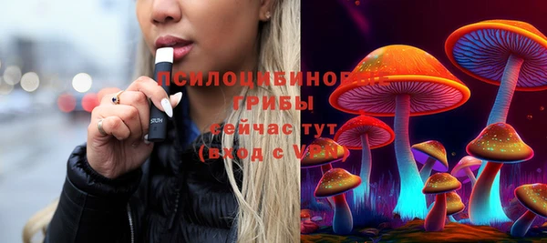 дживик Магас
