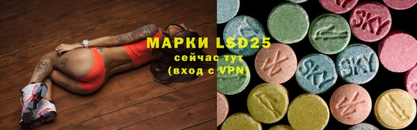 молекула духа Магадан
