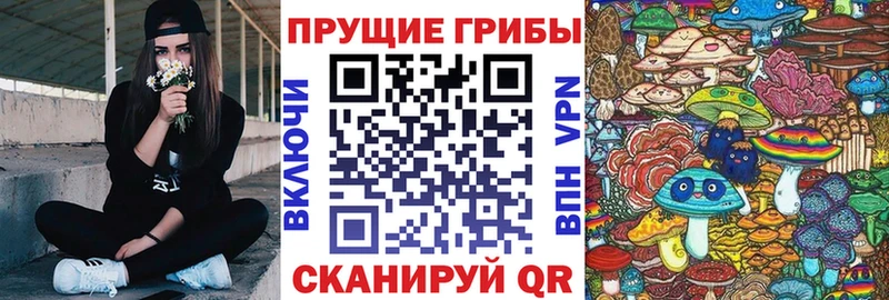 Псилоцибиновые грибы Psilocybe  Купить  Махачкала 